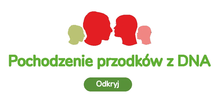 Pochodzenie przodków z DNA — więcej informacji